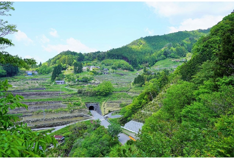 神在居の棚田