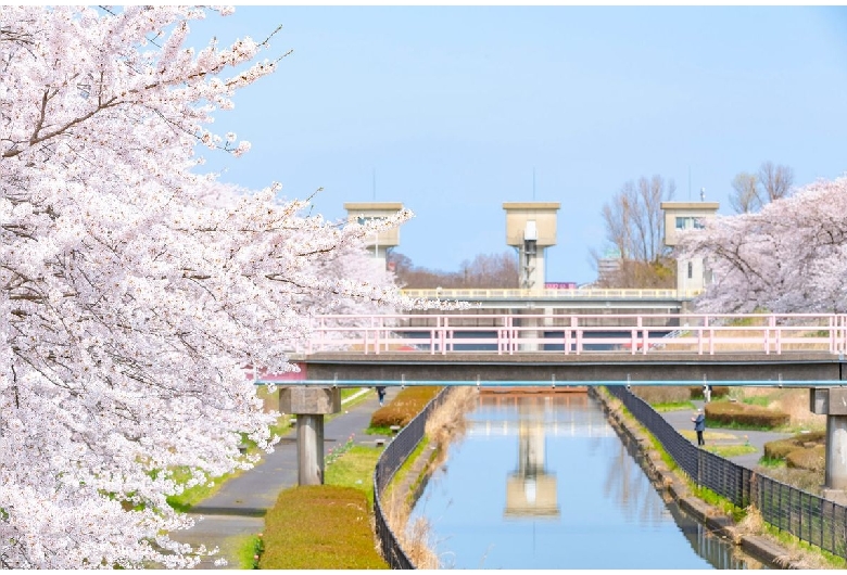 鷲ノ木遊歩道公園