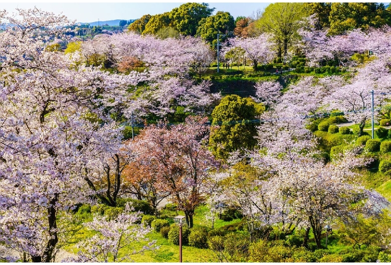 菊池公園