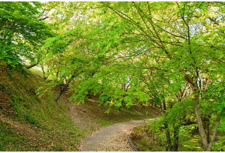 菊池公園