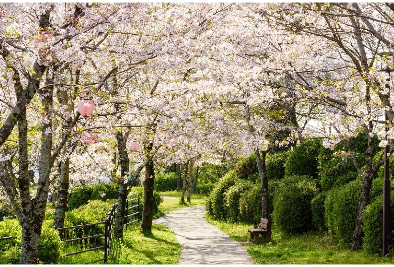 菊池公園