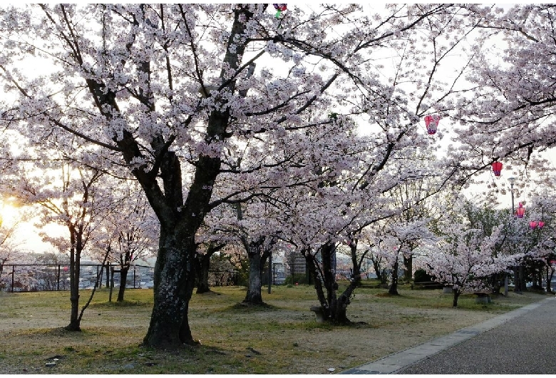 早島公園