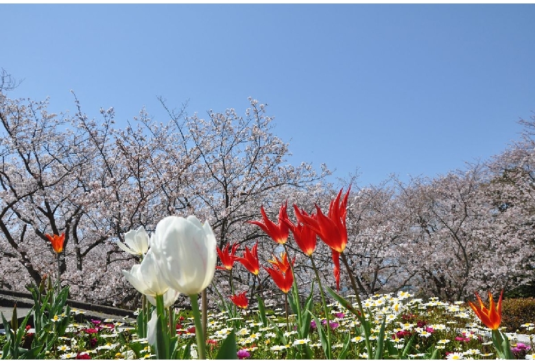 戦場ヶ原公園