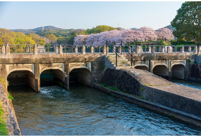 酒津公園