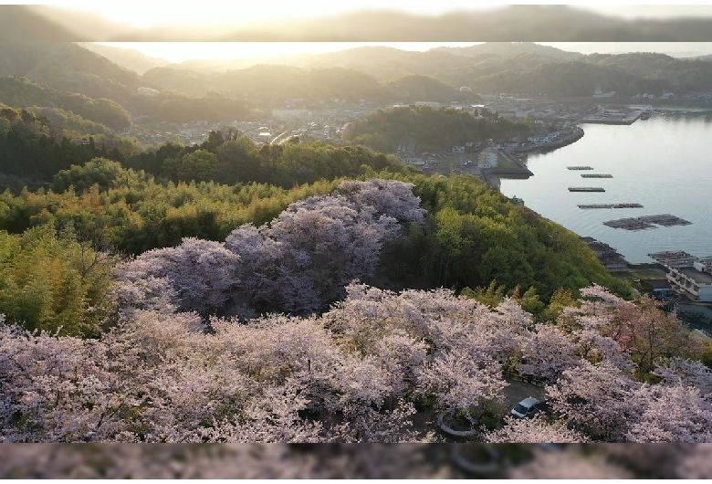 正福寺山公園