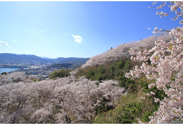 正福寺山公園