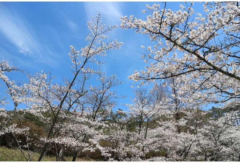 世羅甲山ふれあいの里