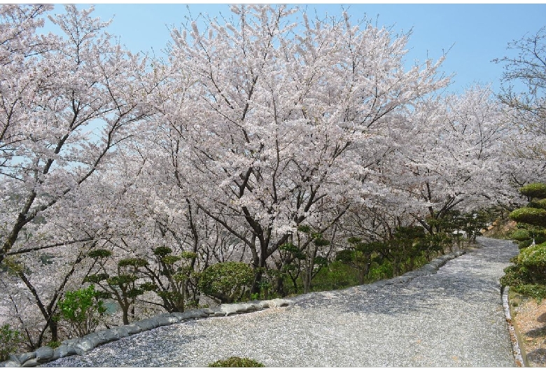 種松山公園西園地