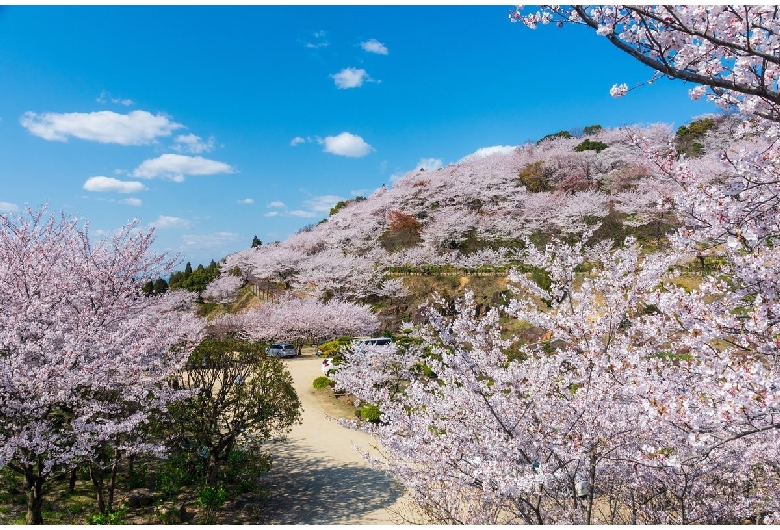 種松山公園西園地