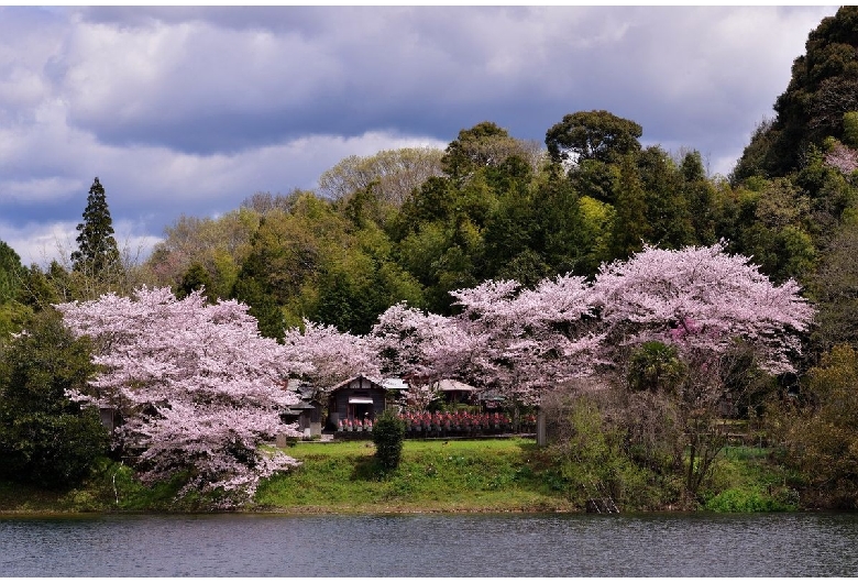 亀池公園