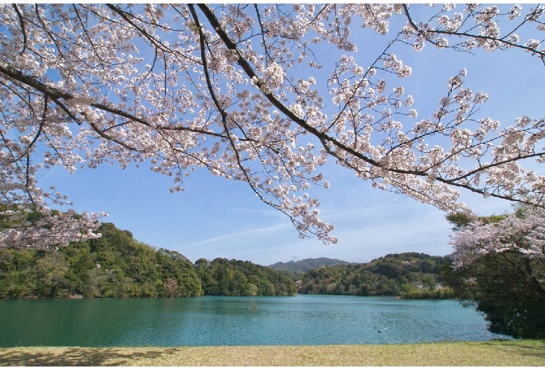 亀池公園