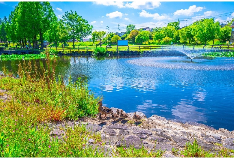 打上川治水緑地