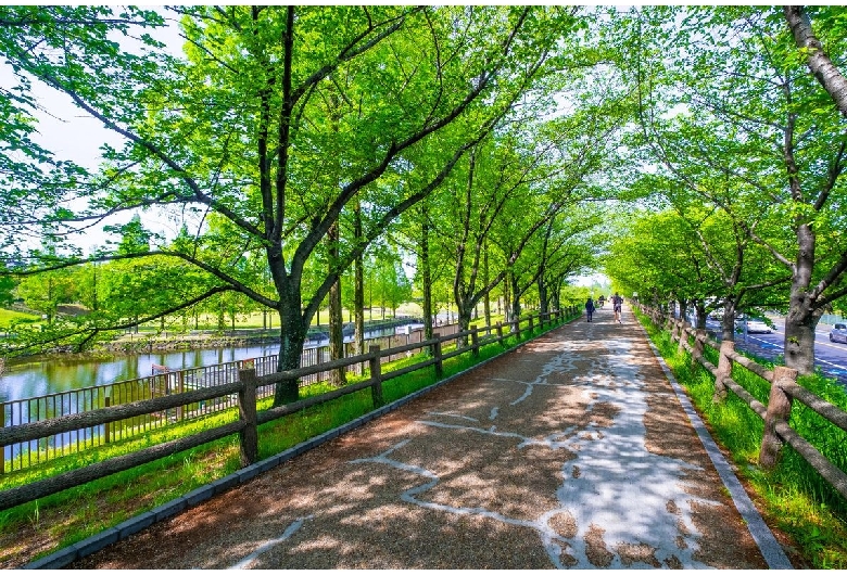 打上川治水緑地