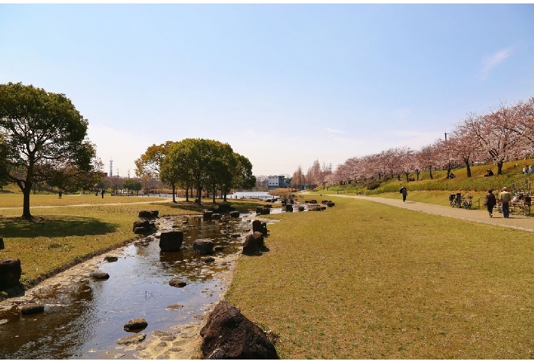 打上川治水緑地