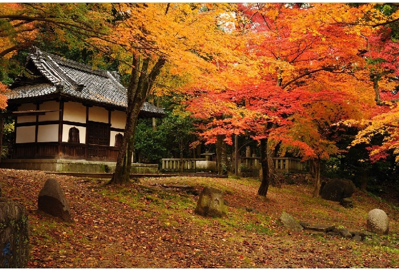 岩屋寺