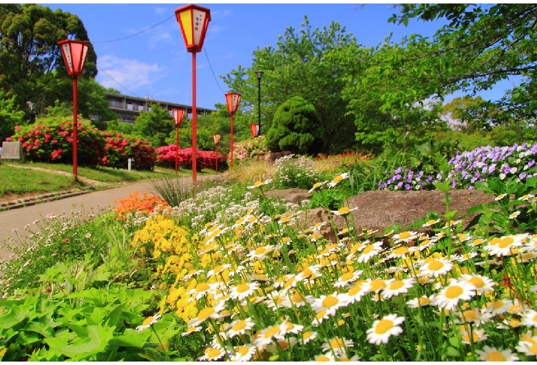 日岡山公園