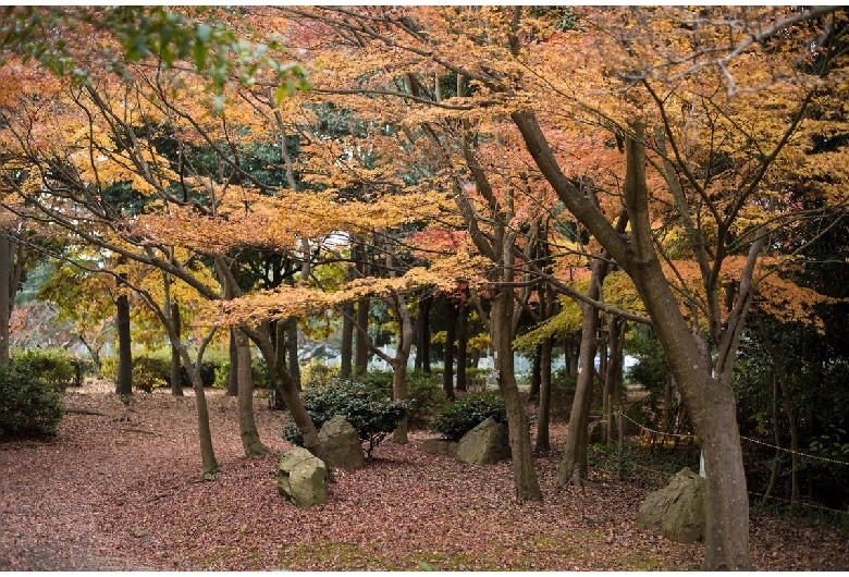 日岡山公園