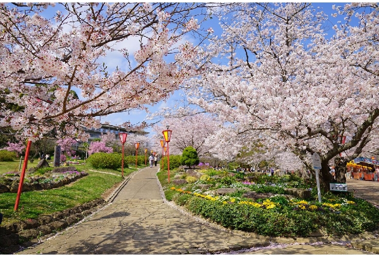 日岡山公園