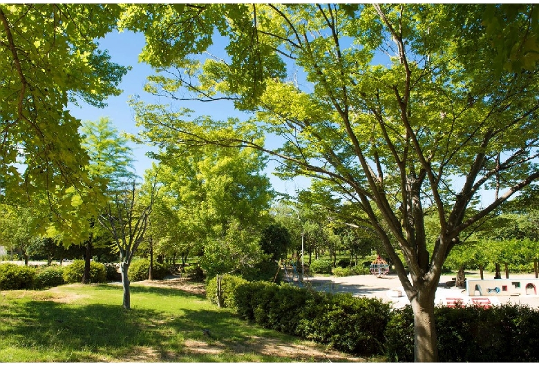 日岡山公園