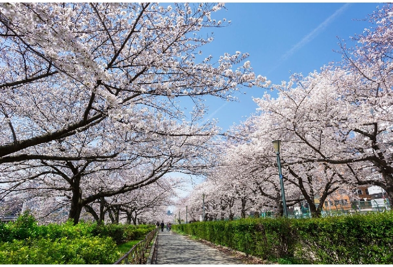 南天満公園