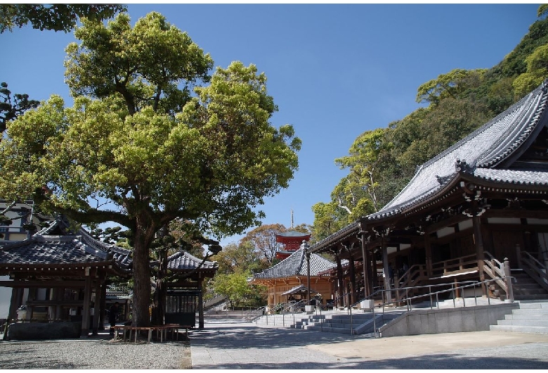 須磨寺（福祥寺）