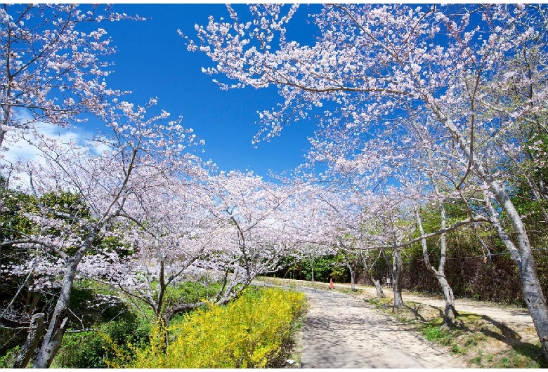 平草原公園