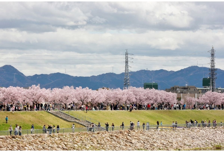 狭山池公園