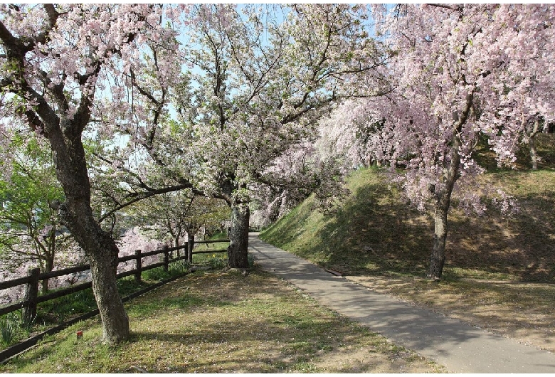 幸田文化公園