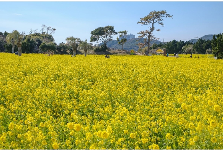 向山緑地