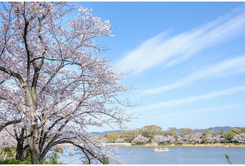 向山緑地