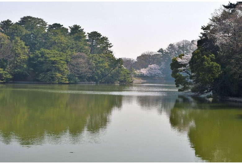 大池公園