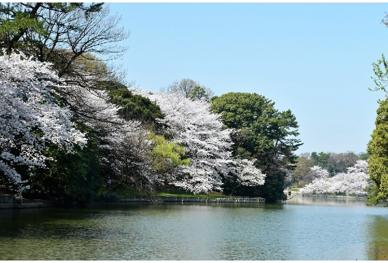 大池公園