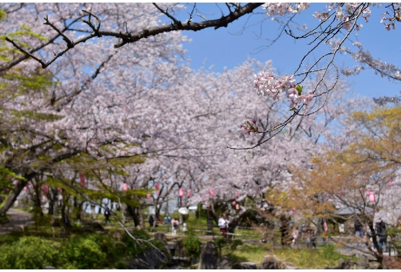 大山緑地