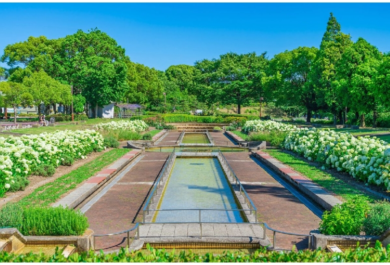 荒子川公園