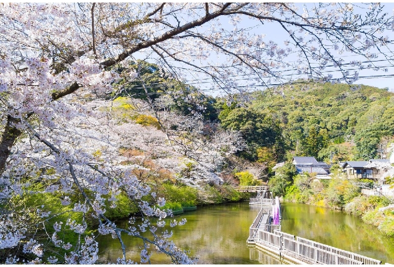 奥山公園