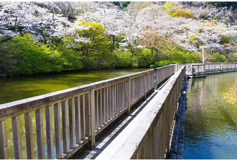 奥山公園