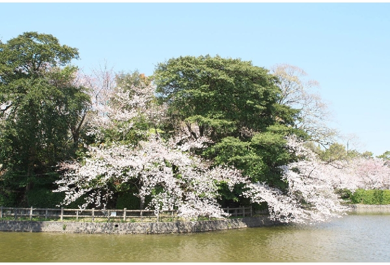 亀城公園