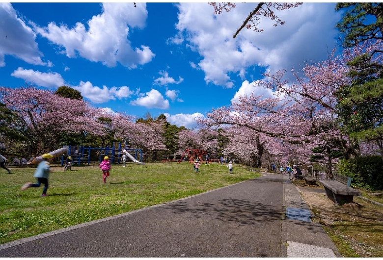 朝日山公園