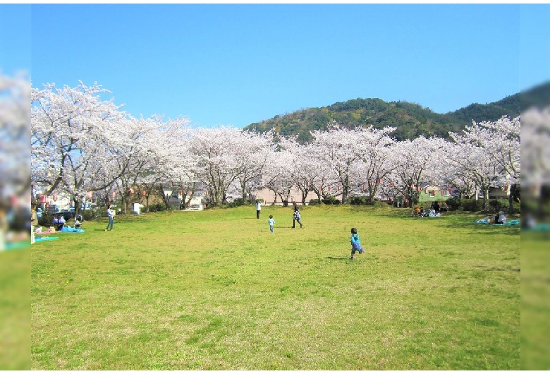 小浜公園