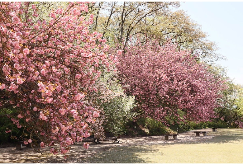 広島市植物公園