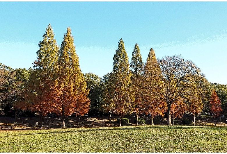 平和公園