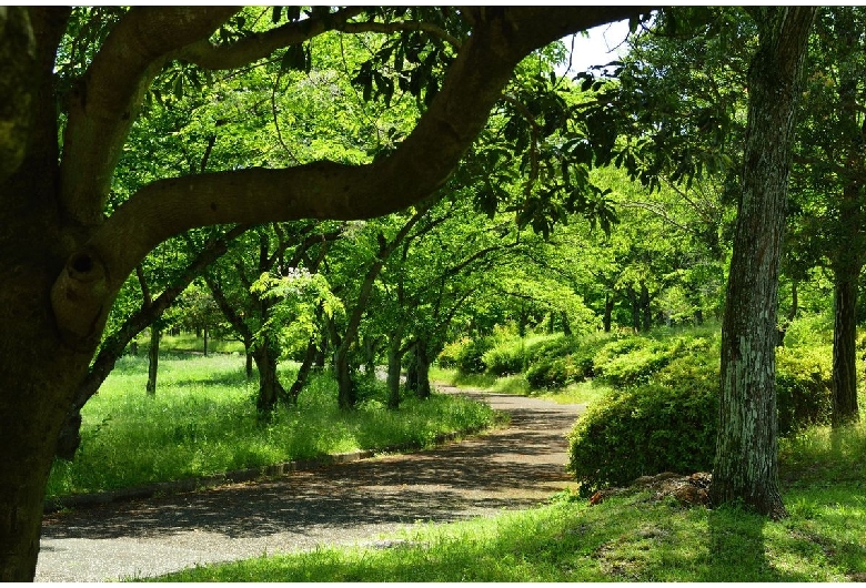 平和公園