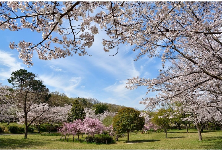 平和公園