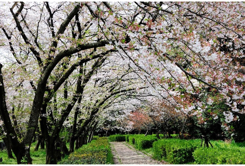 庄内緑地公園