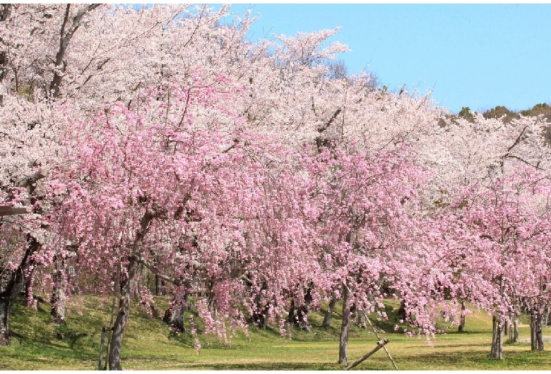 水源公園