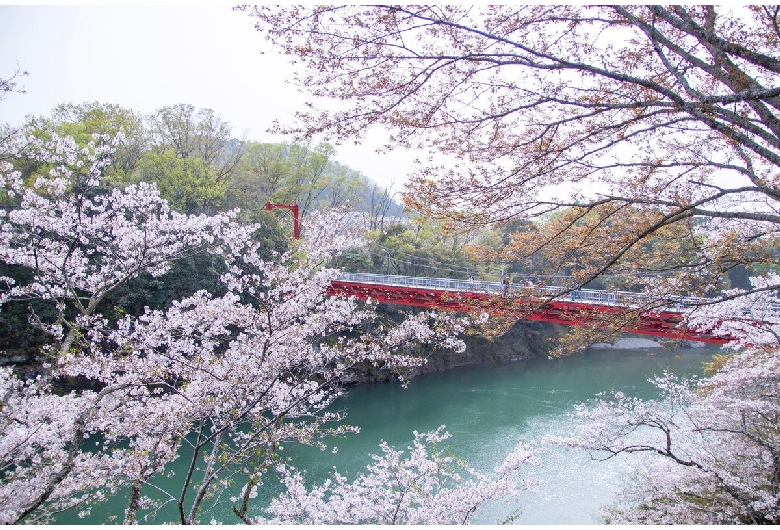 桜淵公園