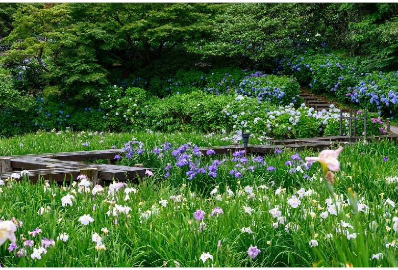 卯辰山公園