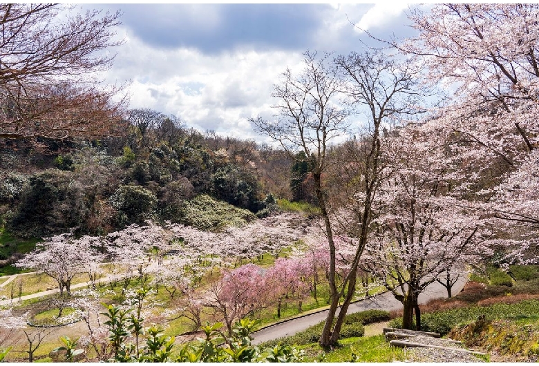 卯辰山公園