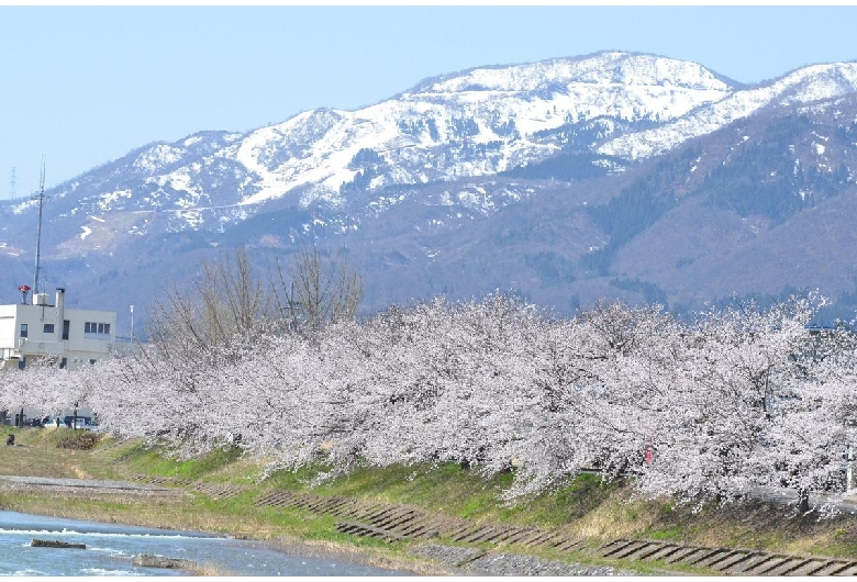 小矢部川公園