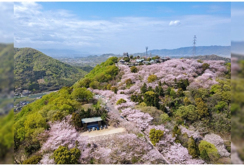 朝日山森林公園